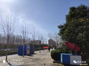 尉氏街头最新爆料,揭秘街头风云背后的故事